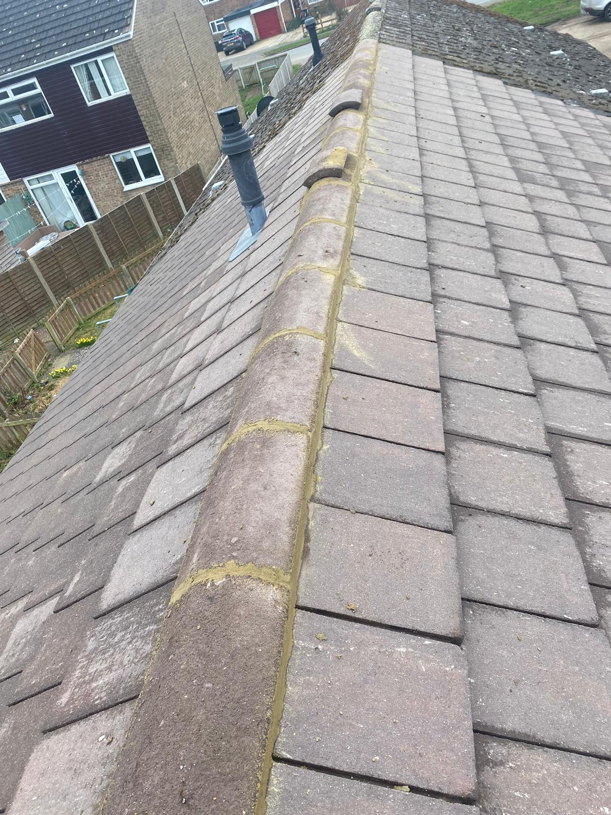 Roof Cleaning PE30
